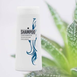 Shampoing Cheveux Gris et Blonds