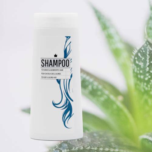 Shampoing Cheveux Gris et Blonds