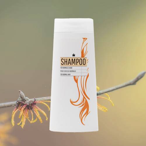 Shampoing Cheveux Normaux