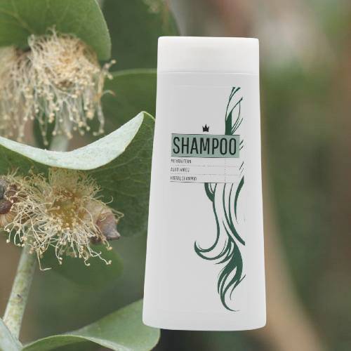Shampoing aux plantes